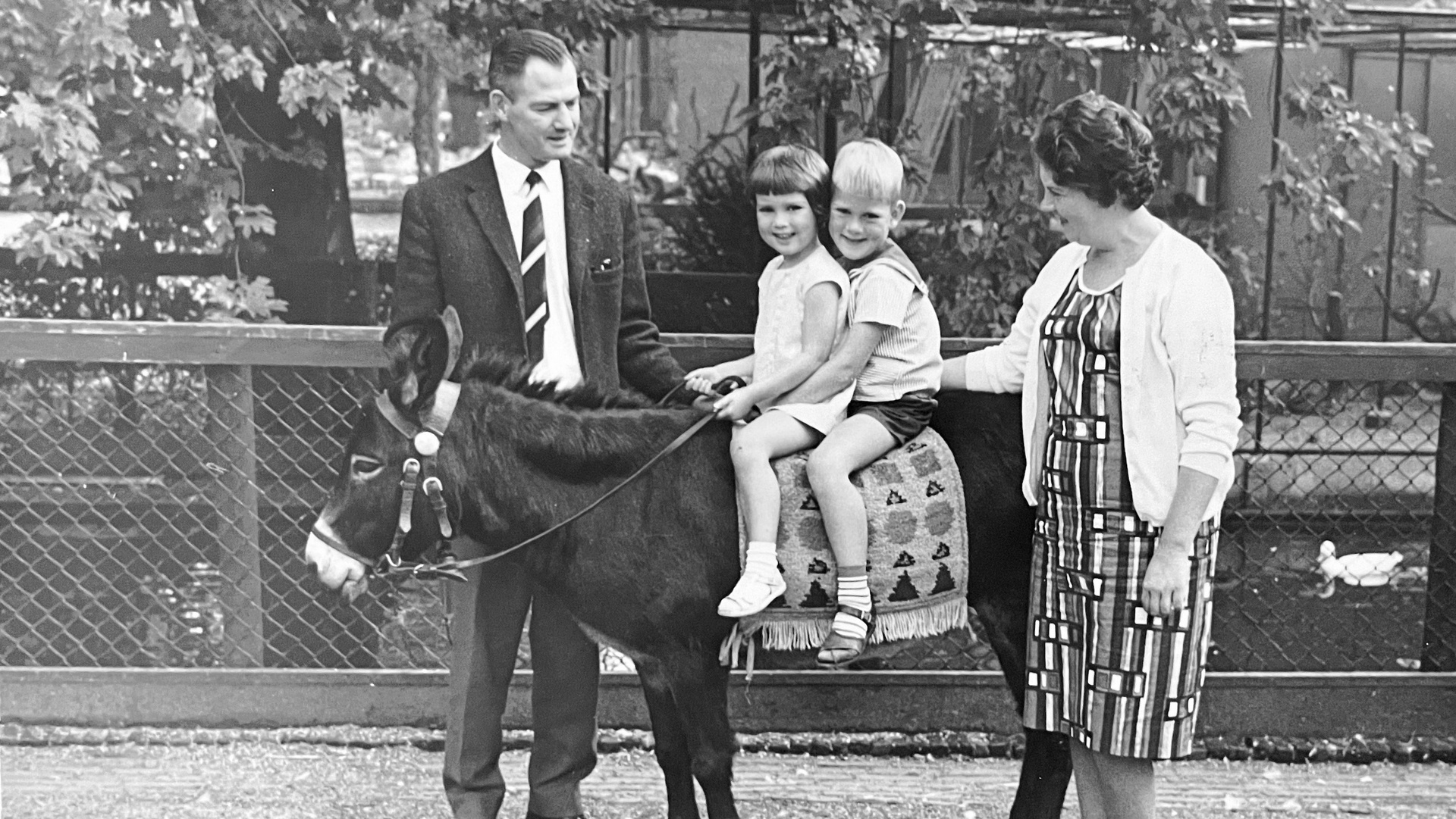 1965